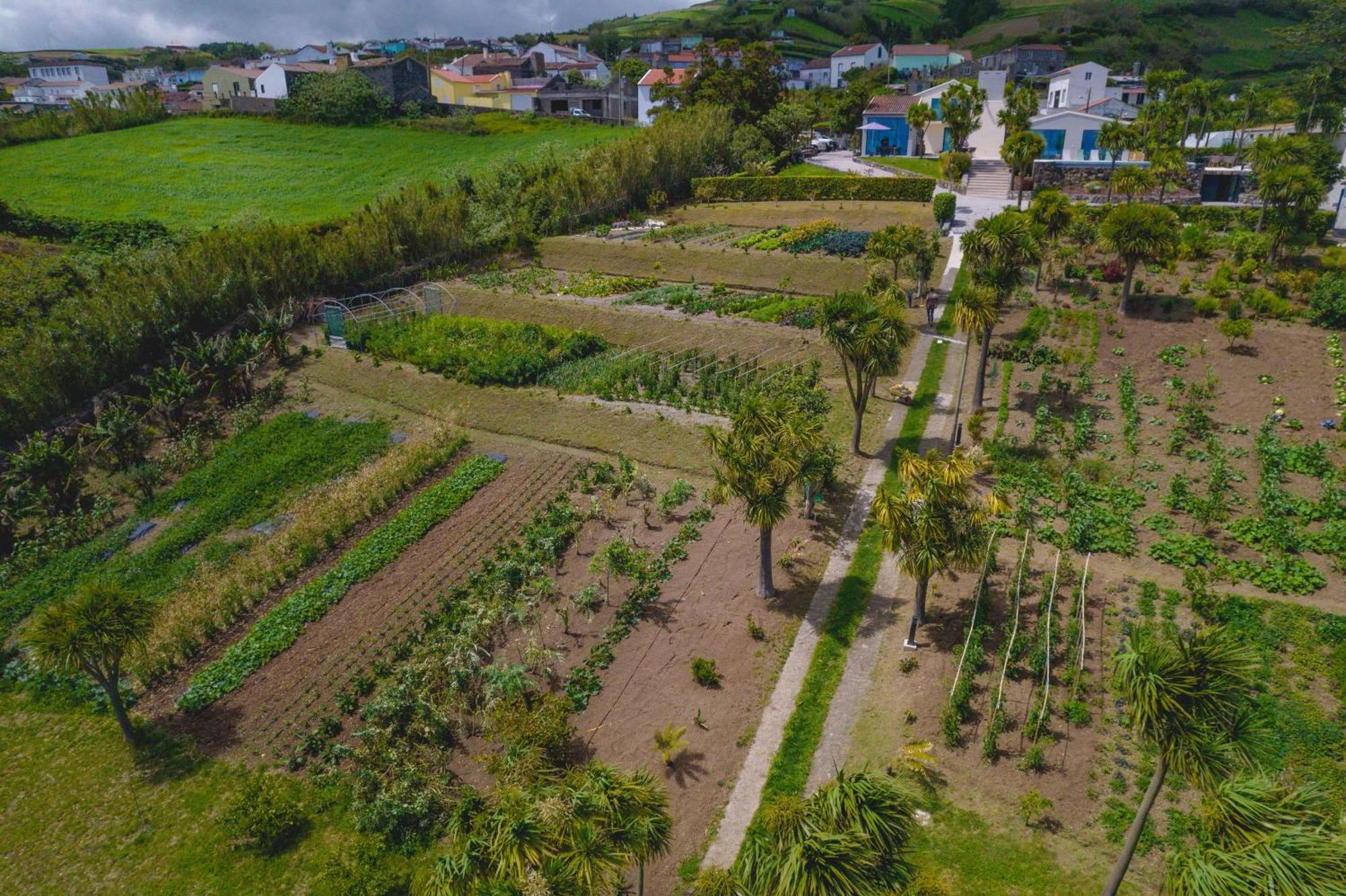 Idonea Bed & Breakfast Ponta Garca Ngoại thất bức ảnh